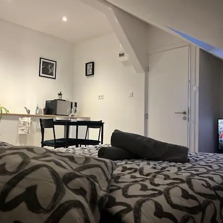 Cosy Rent Studio 1 -gare - Tv - Wifi Appartement Strasbourg