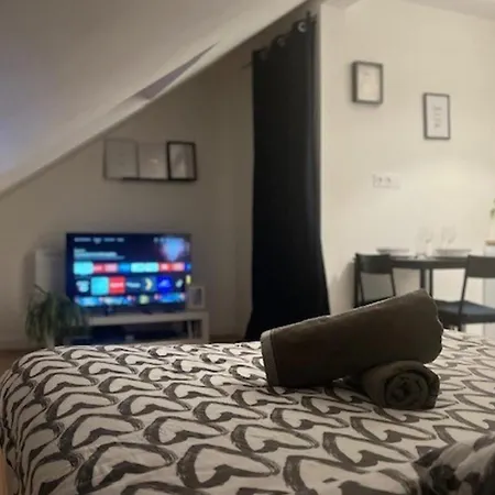 Appartement Cosy Rent Studio 1 -gare - Tv - Wifi Strasbourg